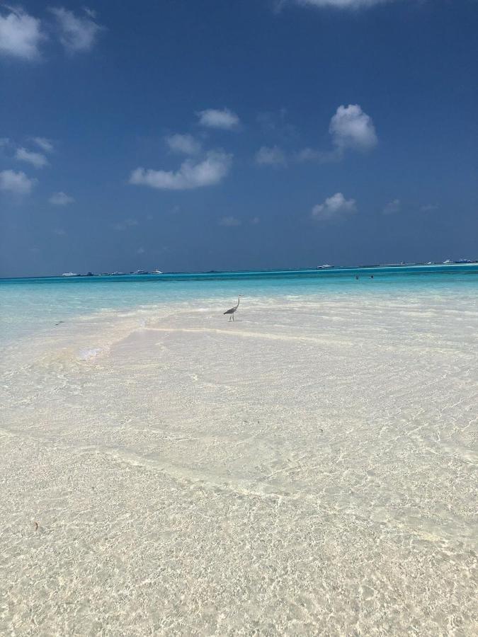Portia Hotel & Spa 迪弗西 外观 照片